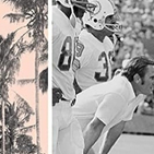 Seventeen and Oh: Miami, 1972, and the NFL's Only Perfect Season