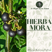 El Ángel de tu Salud - Hierba Mora**