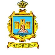 Plenari del dia 11 de juny