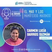 El mar y los mamíferos marinos