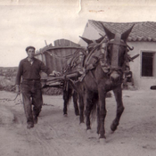 2.-"El Taller de Carros y la Fragua" de Vega de Tirados