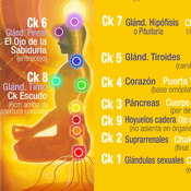Programa Nº 3 (24 - 10 - 2016) Conociendo los chakras. Parte 2. Los 9 sistemas de chakras.