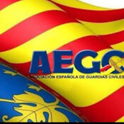 La labor de los Cuerpos de Seguridad del Estado , es la prevención