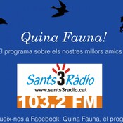 Quina Fauna! Retrat animal, Montse Pérez i Jaume X