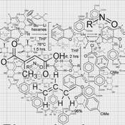 La química del amor romántico (374)