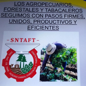 Comprometidos a contundentes desfiles los trabajadores agropecuarios, forestales y tabacaleros de Cuba este 1ro de Mayo
