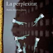 La Perplexitat Cap1: Inspiració