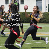 265.- Cuervos cuervos AAAAAGH!