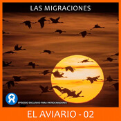 El aviario 02 - las migraciones. (07 / 2017)