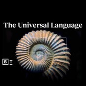 How math brings incredible meaning to everything in our universe | Talithia Williams