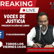 Tv Su Version 14 De Febrero 2025