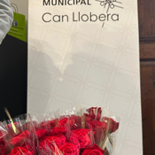 23-04-25 Sant Jordi Can Llobera