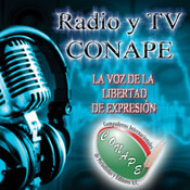 #RadioCONAPE Programa Del 20 De Enero De 2017