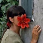 "La teta asustada": violencia sexual contra las mujeres en las guerras y sus secuelas