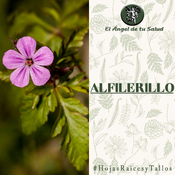 El Ángel de tu Salud - Alfilerillo**