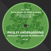 Episodio 149: Paisley Underground. Barbacoas y camisas de paramecios.