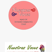 Nuestras Voces 28042025 p 344