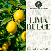 El Ángel de tu Salud - Lima Dulce**