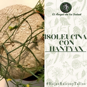 El Ángel de tu Salud - Isoleucina con Hantyax**