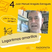 Logaritmos amarillos 4 - Juan Manuel Aragüés Estragués