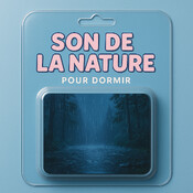 1 H de PLUIE pour DORMIR | Plongez dans un univers de repos relaxant | Bruit Blanc ASMR