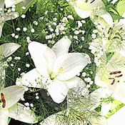 Pascua de Resurrección - Meditación Guiada
