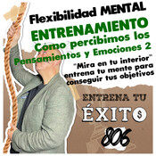 Cómo percibimos los Pensamientos y Emociones 2 - Mirar en tu interior - Conocete a ti mismo - ENTRENA TU ÉXITO -...