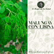El Ángel de tu Salud - Malungay con Lisina**