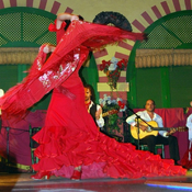 ¿Cuál es el origen del flamenco?