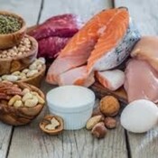 Los secretos de Gonzalo: Proteínas animales VS proteínas vegetales