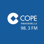Entrevista RAMÓN CANAL (Servicio Ayuda Domicilio Ribadesella)
