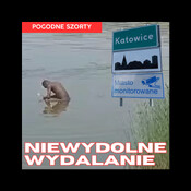 Niewydolne wydalanie | Pogodne Szorty #208