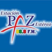 Hernán Silva, Licencia de conducción 
