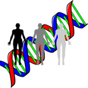 El fraude de la clonación humana (Bioética 09)