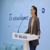 El PP de Málaga compara al subdelegado del Gobierno, Javier Salas, con Torrente: "En seguridad se tiene que...