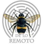 Alarma por insectos propagando virus ¿podrían ser armas? / La extinción de la abeja - Ecos de lo remoto 3x06