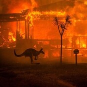 T5 x 01*Exopolítica: La Yihad Climática y los Incendios de Australia**La Escuadrilla Azul**Guy Fawkes*