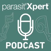 Experiencias prácticas en el diagnóstico y control de la estrosis con Luis Miguel Ferrer