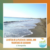 La neteja de la platja de l’Arenal, amb voluntaris de CaixaBank