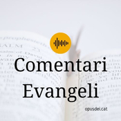 Comentari Evangeli Jn 20, 1-9
