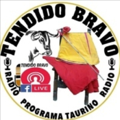 2025.03.20 - Tendido Bravo #228