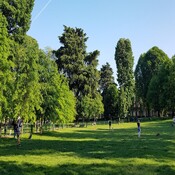 La naturaleza es medida para tu salud