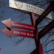 Estados Unidos prohíbe a Harvard matricular a estudiantes extranjeros: "Es una medida extremadamente severa que...