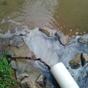  Multan a Promotora con 7mil por Contaminar Quebrada pero Siguen las Descargas
