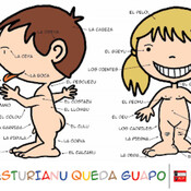Apostrofación n'asturianu / Les partes del cuerpu