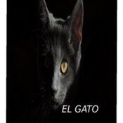 El gato
