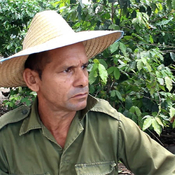 El mundo campestre de Alexander