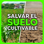 ¿Podemos producir comida para todo el mundo? - Economía Directa/Radioactividad