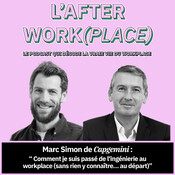 #32 - Comment je suis passé de l'ingénierie au workplace (sans rien y connaître… au départ) avec Marc Simon de...