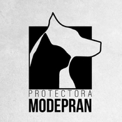Hablamos con el refugio Modepran tras seis meses de la DANA